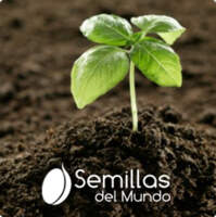 Semillas del mundo