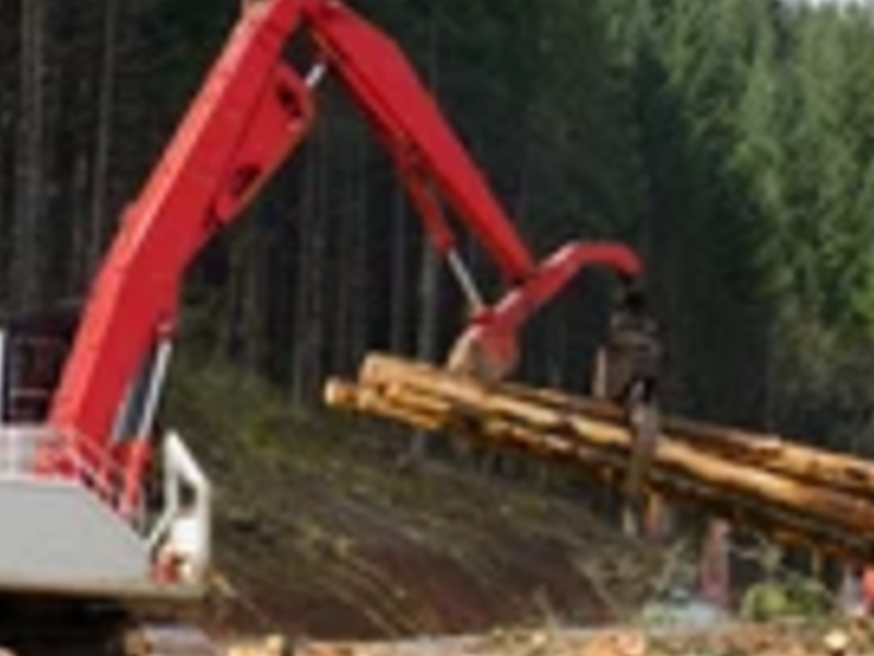 Trueno Digger Chile 