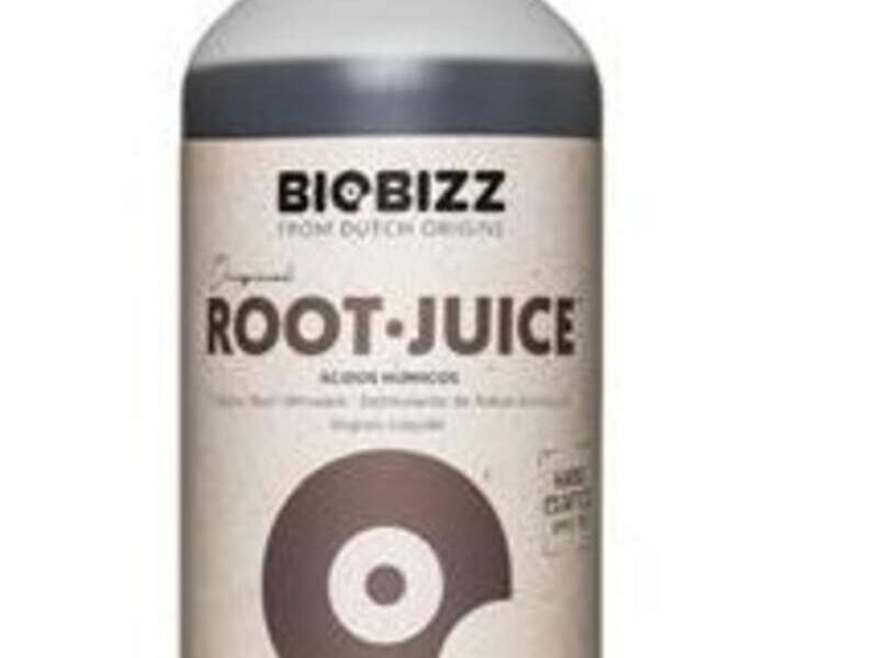 Root-Juice Chile 