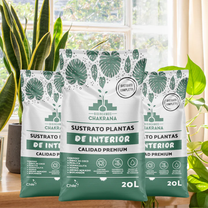 Pack Sustrato Plantas de Interior cHILE 