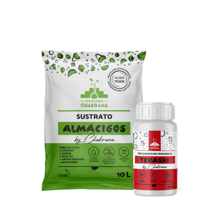 Pack Almácigos CHILE 