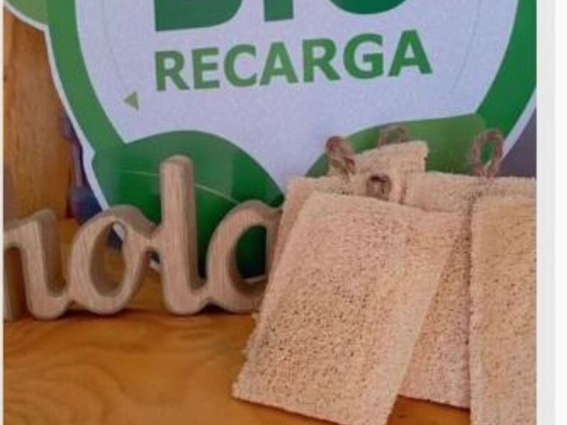 Esponja baño Luffa Arica
