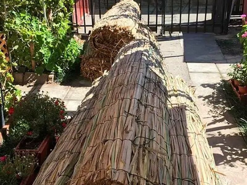 Cortina Totora Rustica - Chile