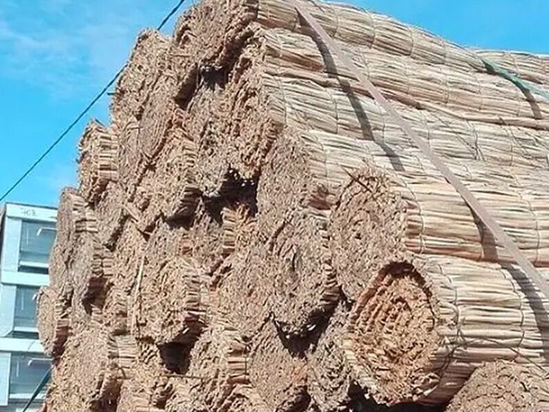 Totora Rustica Cortinas - Chile