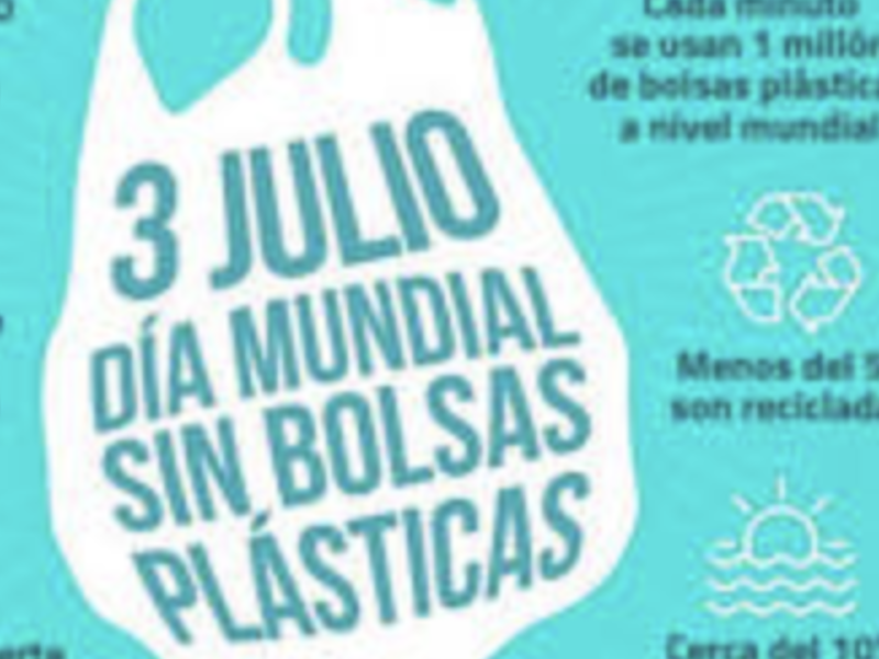 Bolsas de plástico Chile: