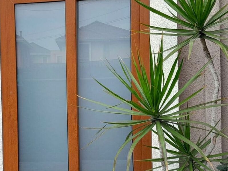Ventana roble Chile