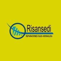 Risansedi Chile