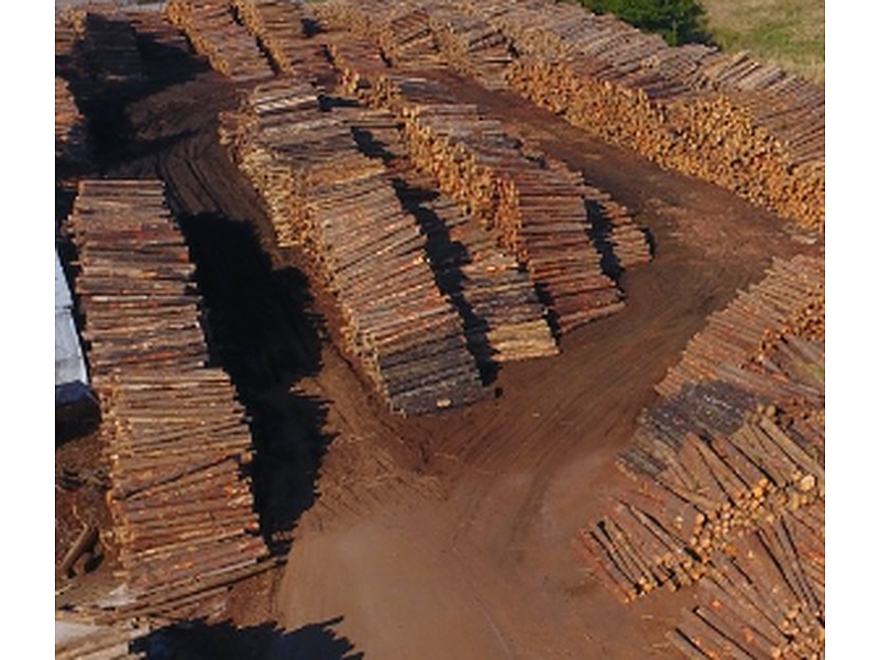 Madera Construcción Chile