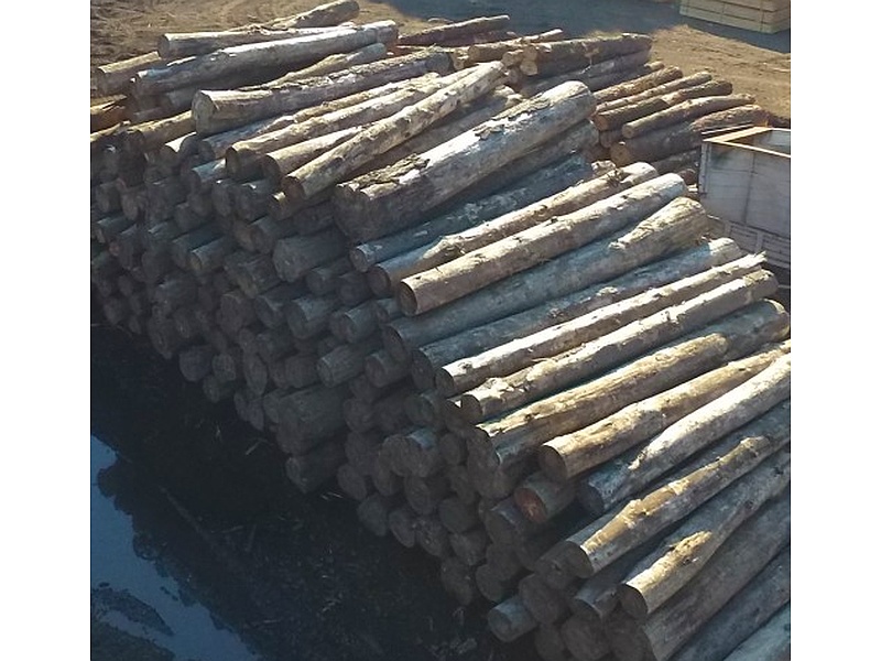Madera Chile