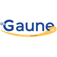 De Gaune Importaciones Chile