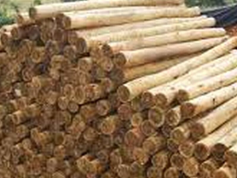 Madera rollizo Chile