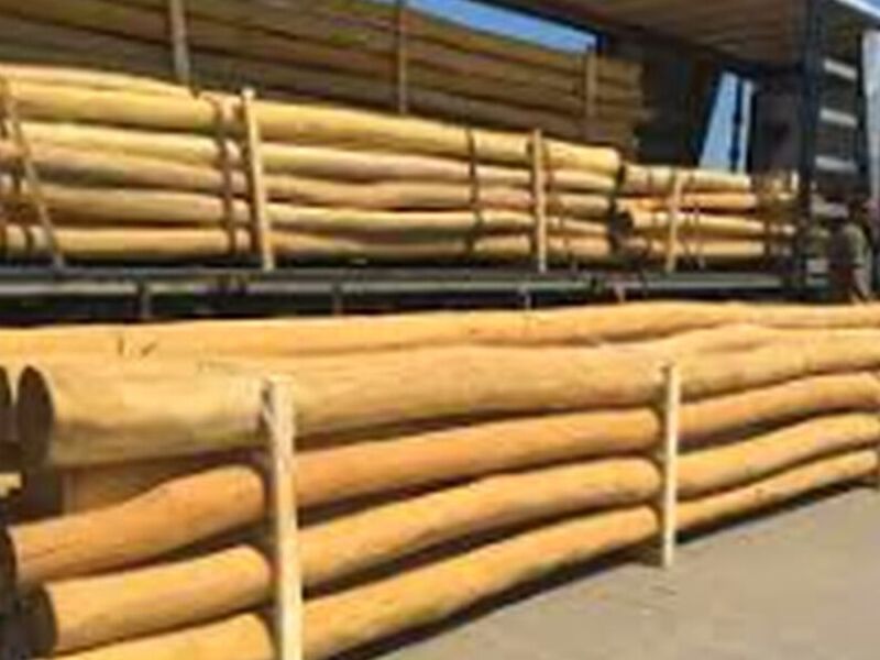 Madera postes Chile