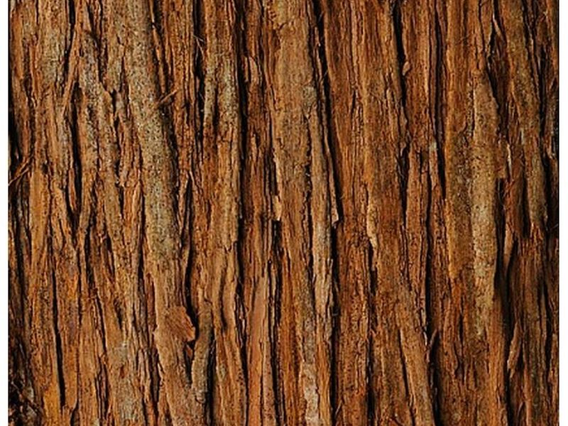 Madera cedro Chile