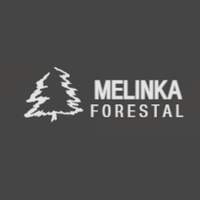 Melinka Forestal