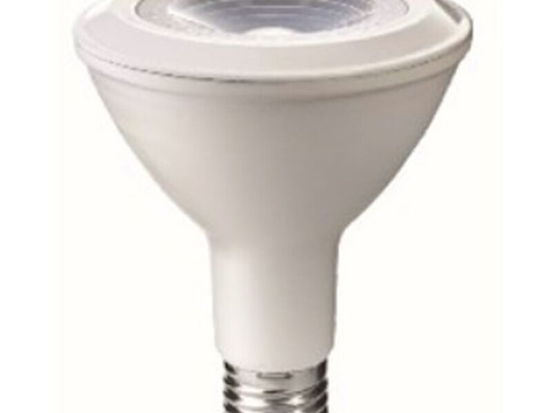 AMPOLLETA LED 12 WATTS Chile