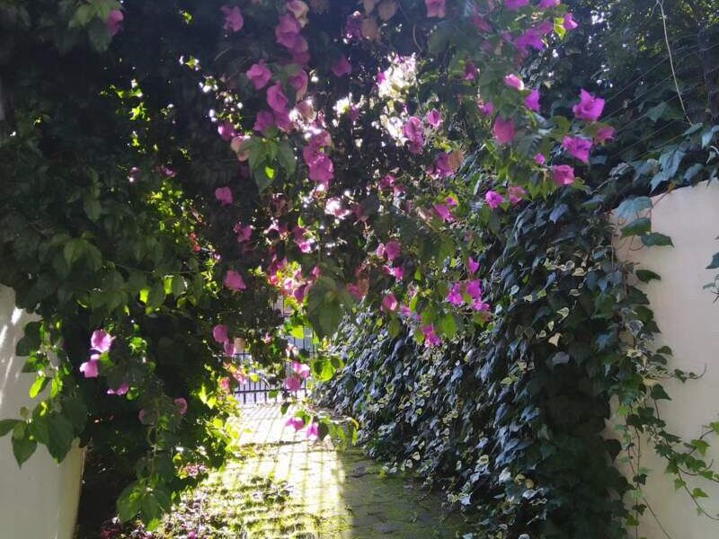 Diseño Jardín Aparcamiento Flores Biobio