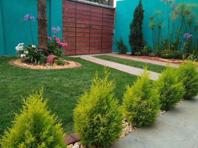 Diseño Jardín Arreglo Arbustos Biobio