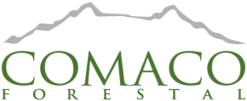 Forestal CC