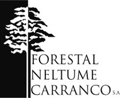 Maderera Neltume