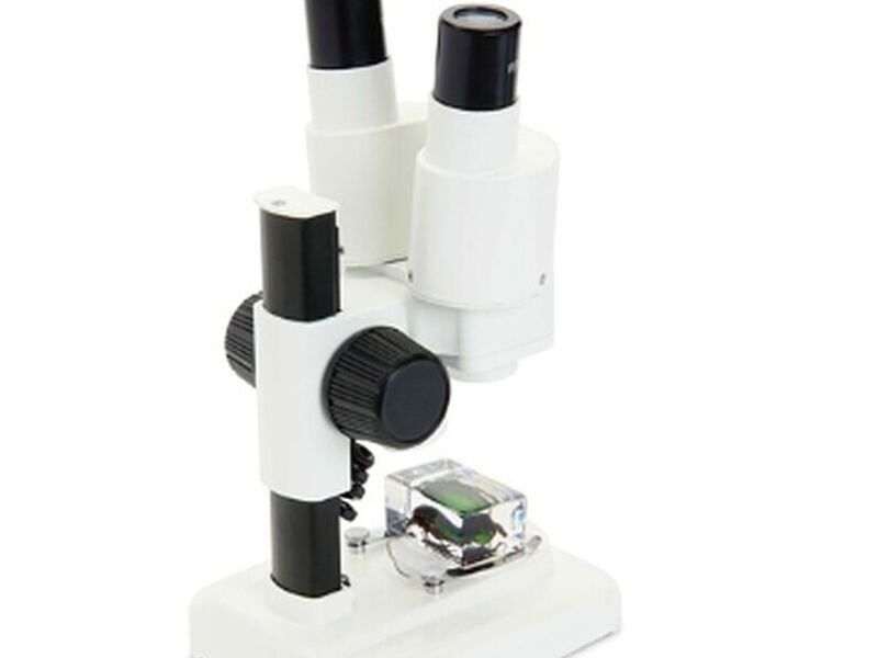 Microscopio Celestron Chile