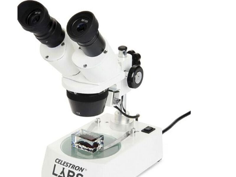 Microscopio Labs S10-60