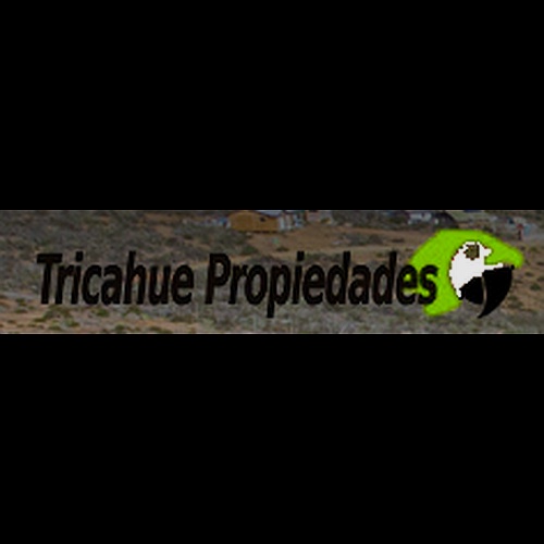 Tricahue Propiedades 