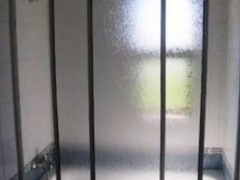 Shower door tradicional