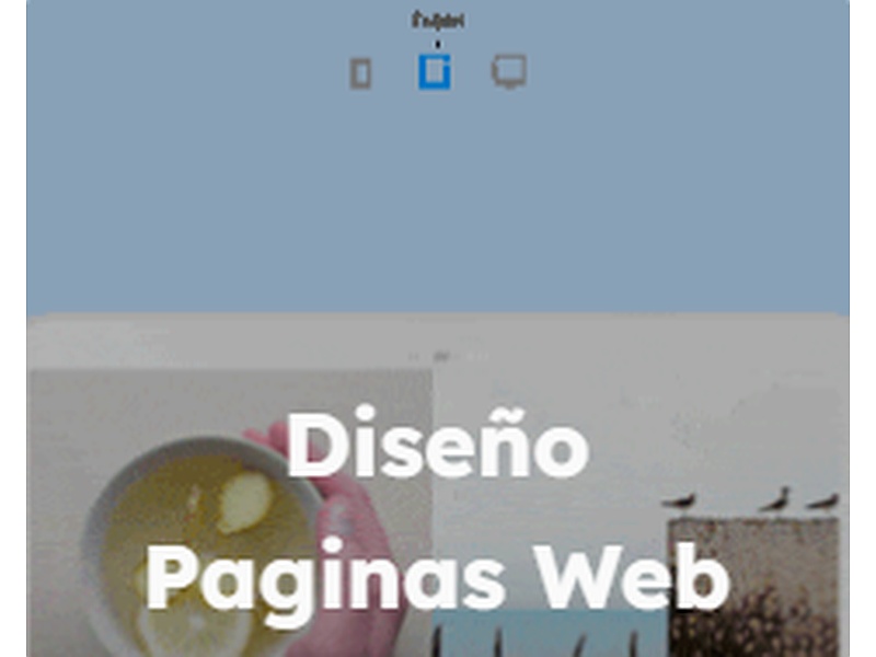 diseño pagina web chile