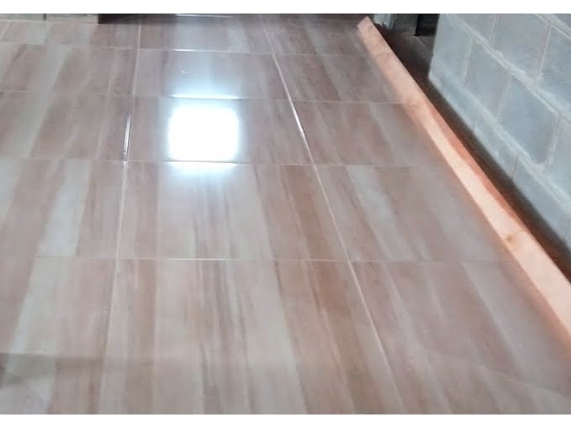 Azulejo Brillante Chile