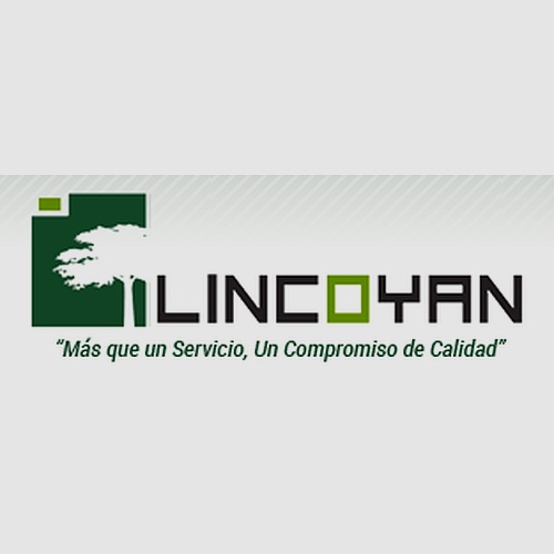 Lincoyan