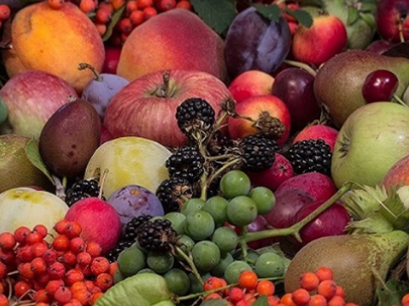 Análisis plaguicidad frutas chile
