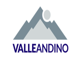 Constructora Valle Andino