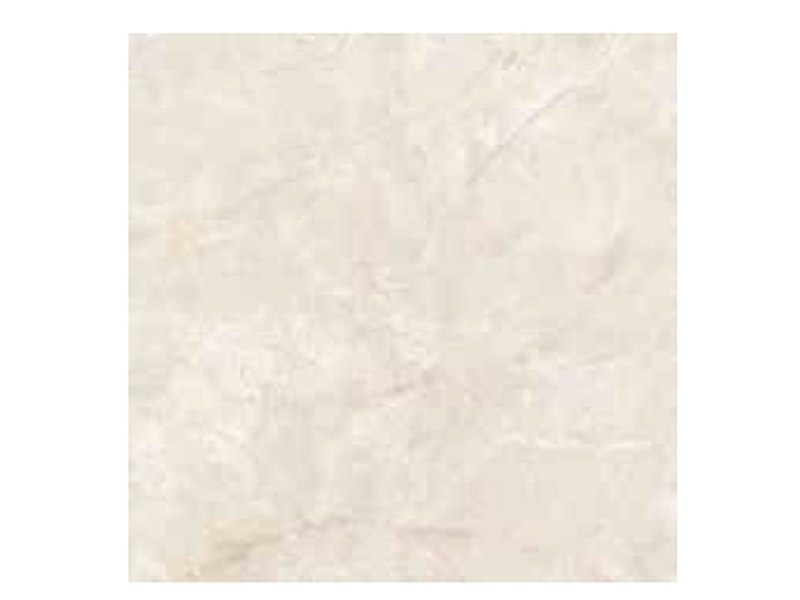 Camelia Crema