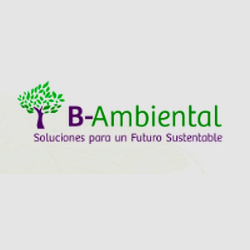  B-Ambiental
