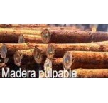 Madera Pulpable Chile