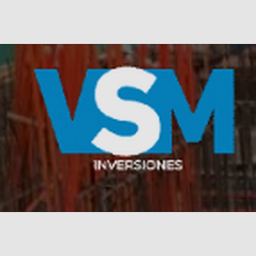 VSM Consultores