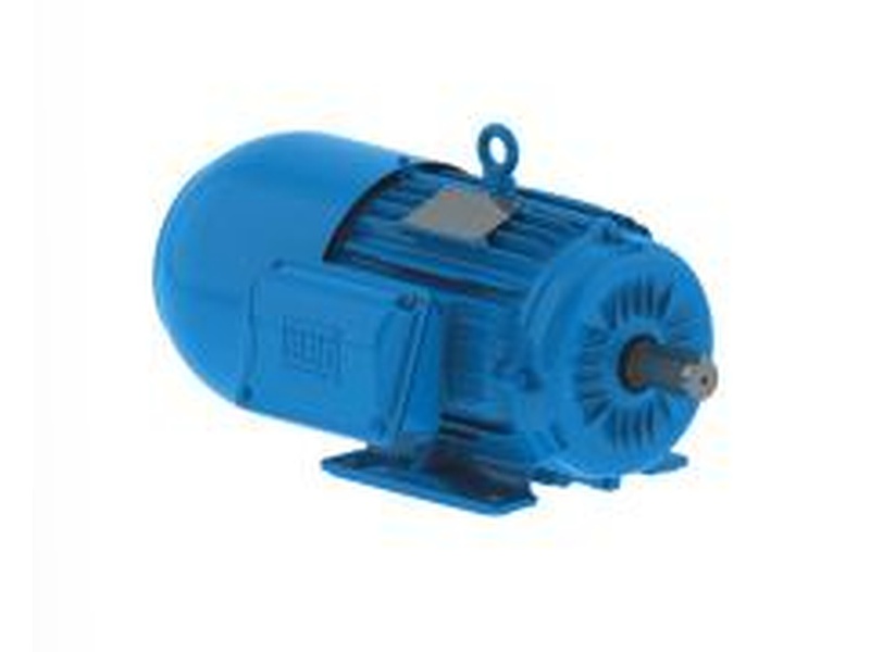 MOTOR ELECTRICO W22 WEB CHILE