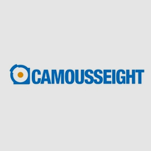 Camousseight