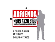 Liezo tela pvc 110*80 Chile