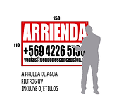 Liezo tela pvc 150*110 Chile