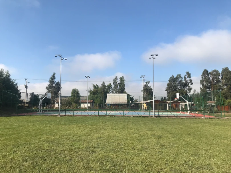 Diseño Multicancha  Palmeras Chile