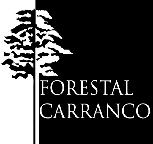 Forestal Carranco Chile