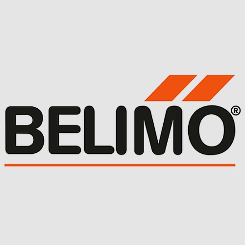 Belimo Chile