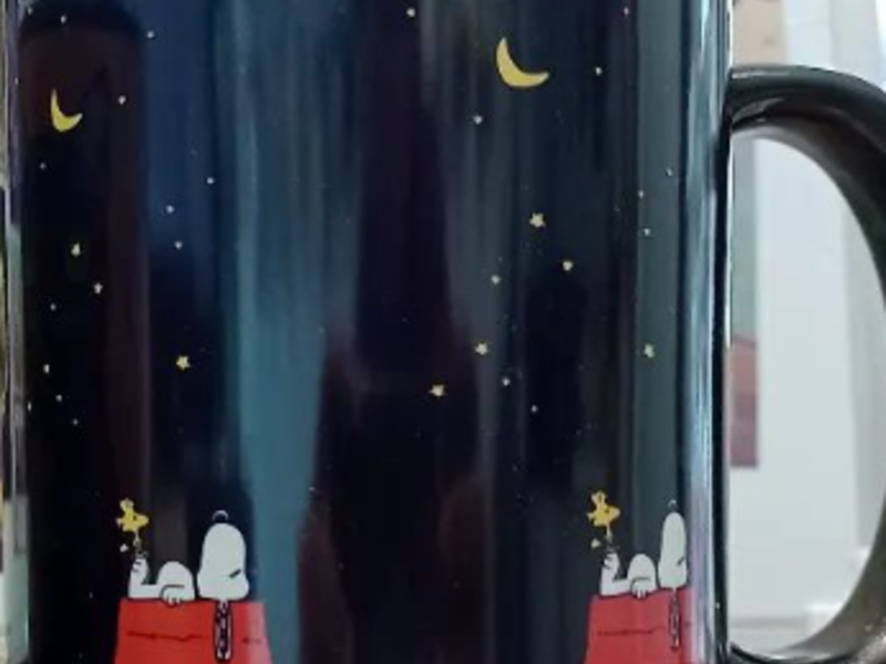 Taza Valdivia