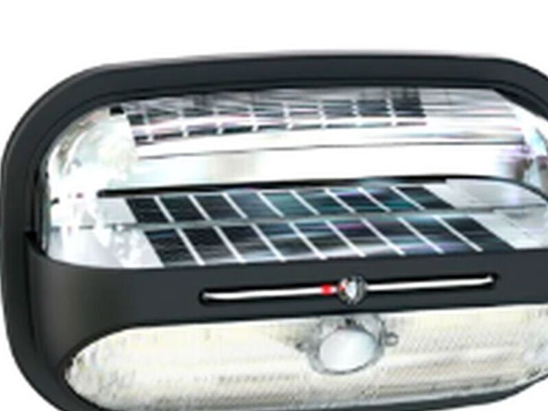 Foco Solar Beetle Chile