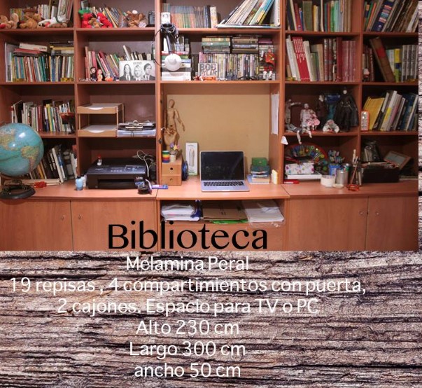 Mueble de biblioteca para sala Chile