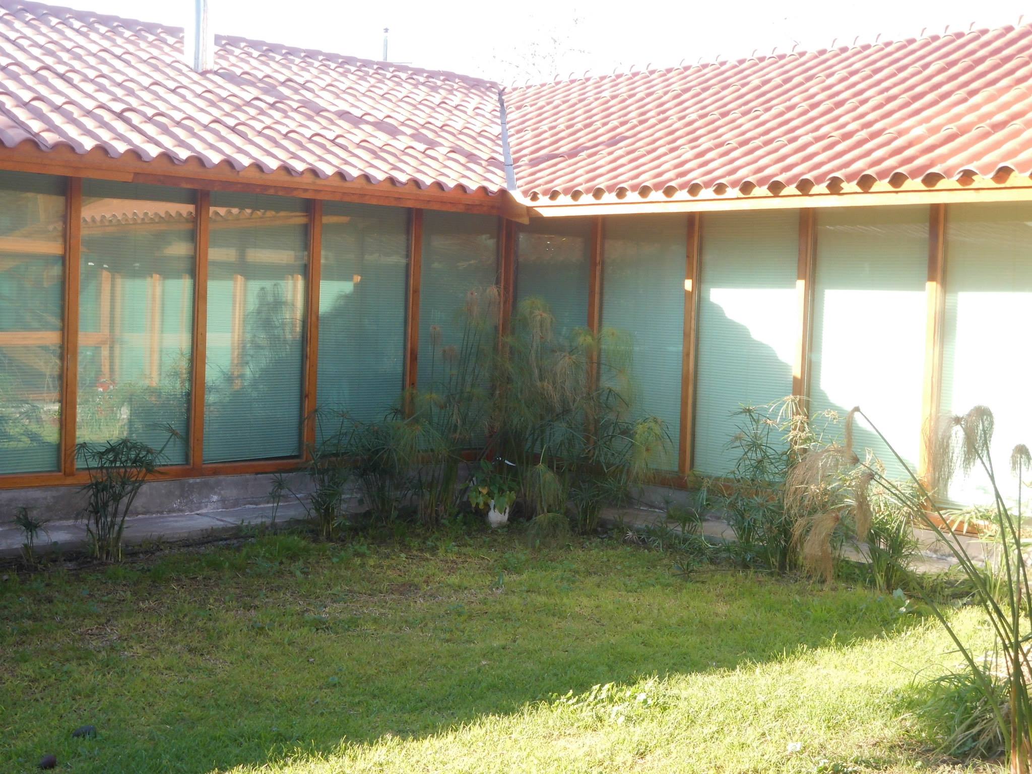 Ventanas de madera solida Chile