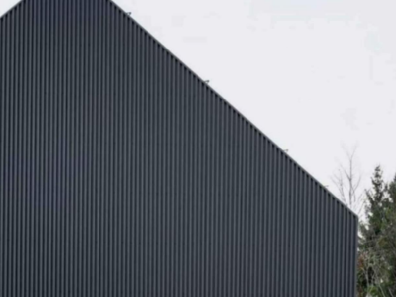 PARED MADERA ARICA