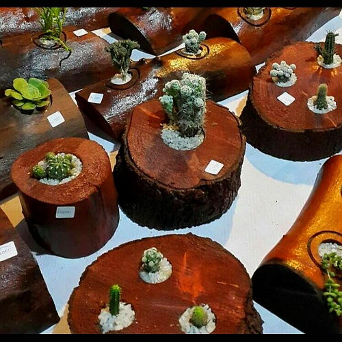 Muebles y artesanía Vida nueva 