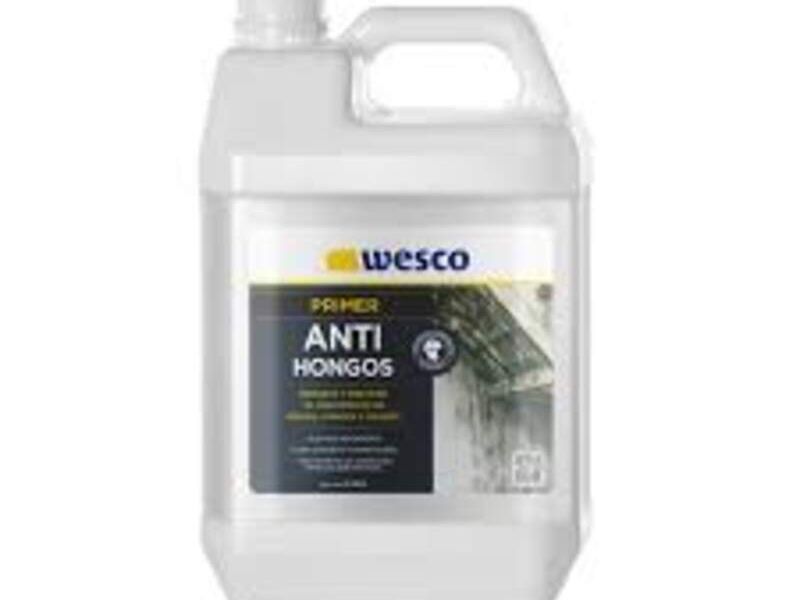 Anti hongos Chile 